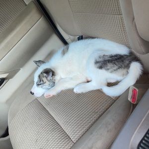 Meet your Posher, Caleb